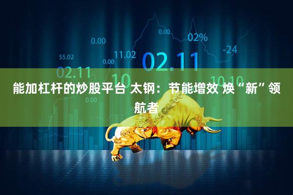 能加杠杆的炒股平台 太钢：节能增效 焕“新”领航者